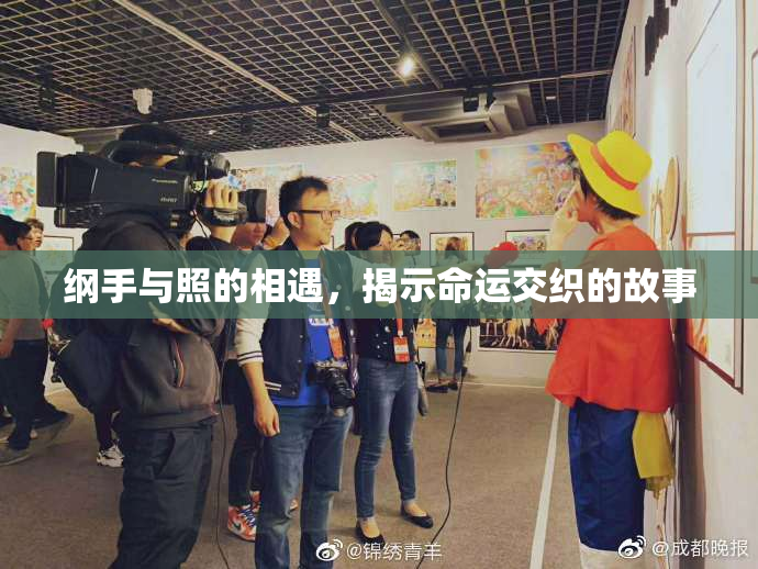 纲手与照的相遇，揭示命运交织的故事