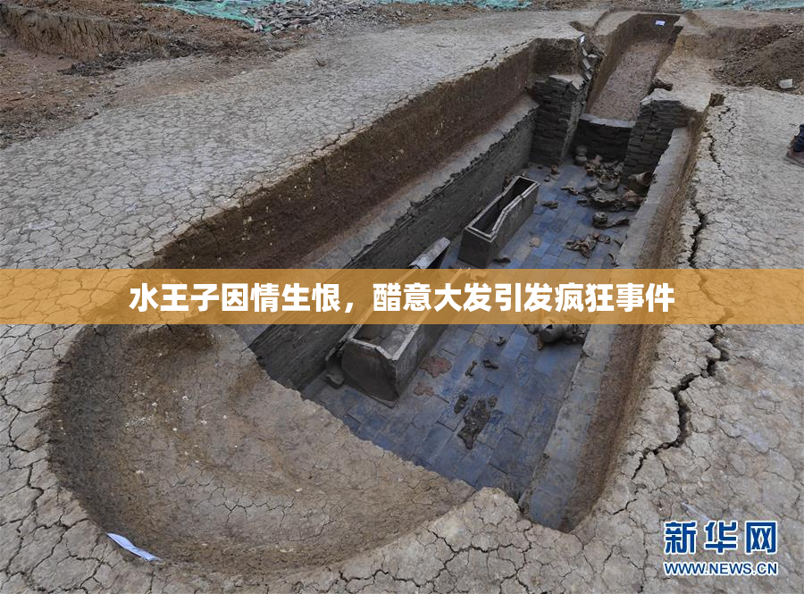水王子因情生恨，醋意大发引发疯狂事件