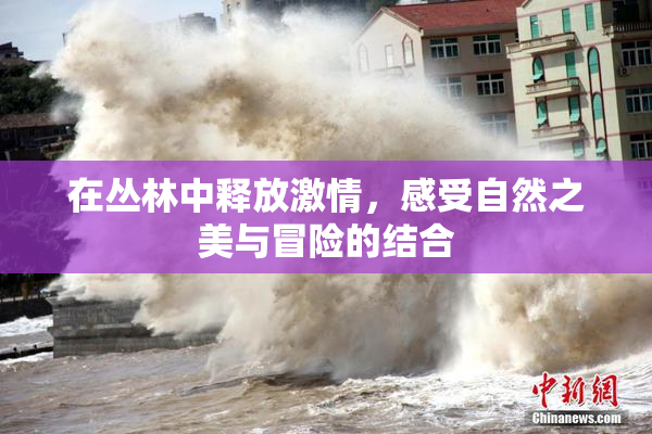 在丛林中释放激情，感受自然之美与冒险的结合