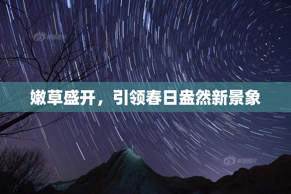 嫩草盛开，引领春日盎然新景象
