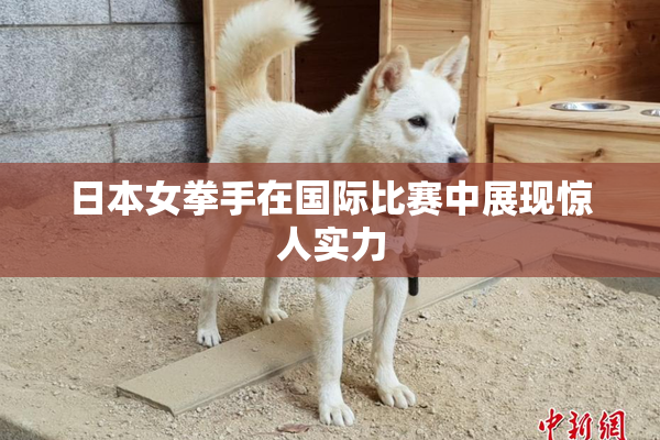 日本女拳手在国际比赛中展现惊人实力