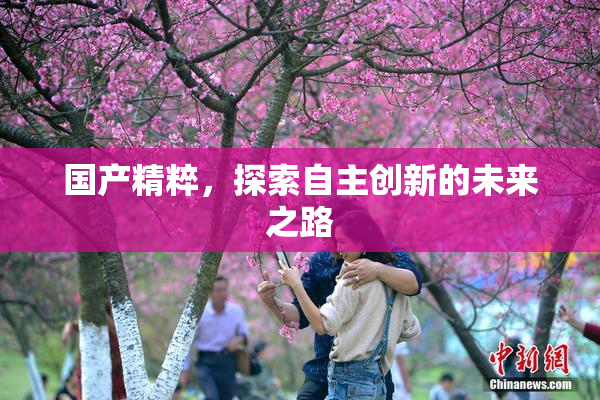 国产精粹，探索自主创新的未来之路