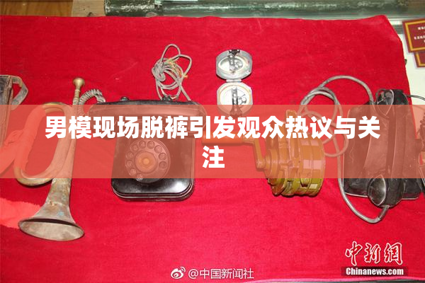 男模现场脱裤引发观众热议与关注
