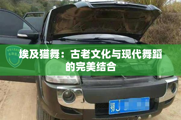 埃及猫舞：古老文化与现代舞蹈的完美结合