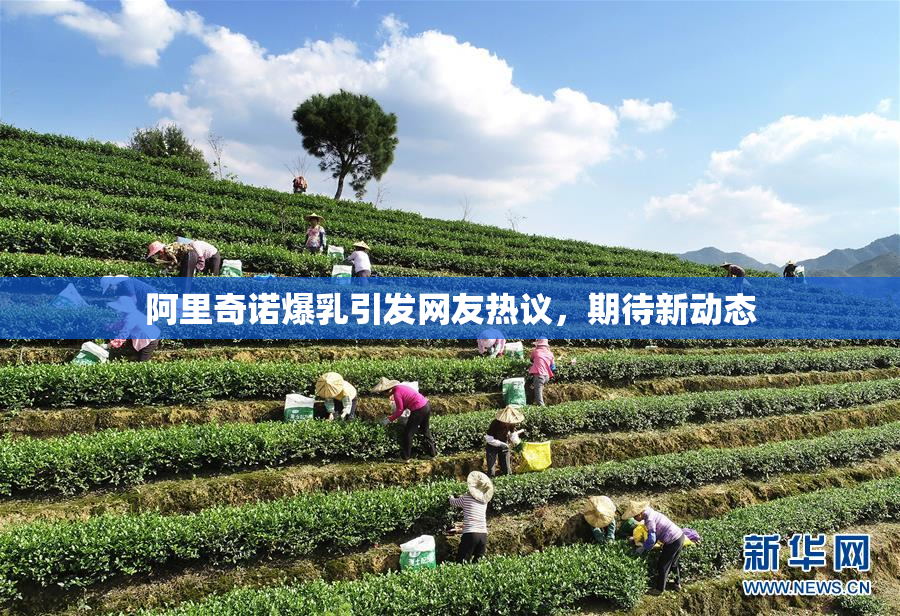 阿里奇诺爆乳引发网友热议，期待新动态