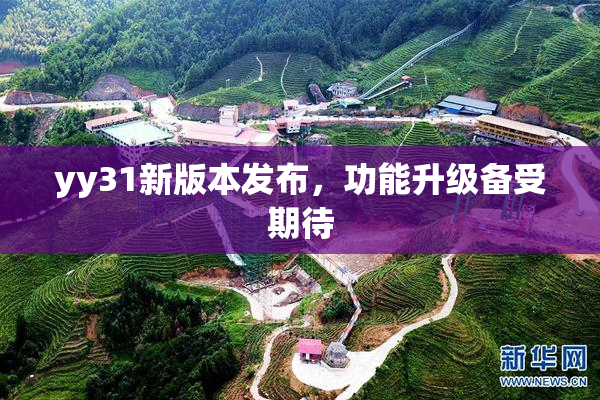 yy31新版本发布，功能升级备受期待