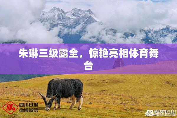 朱琳三级露全，惊艳亮相体育舞台