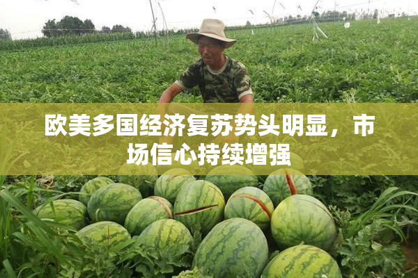 欧美多国经济复苏势头明显，市场信心持续增强