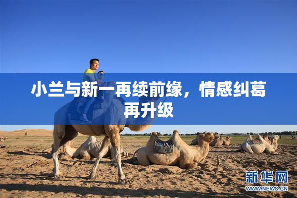 小兰与新一再续前缘，情感纠葛再升级