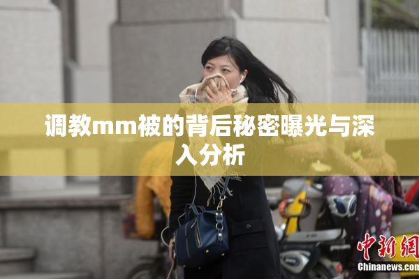 调教mm被的背后秘密曝光与深入分析