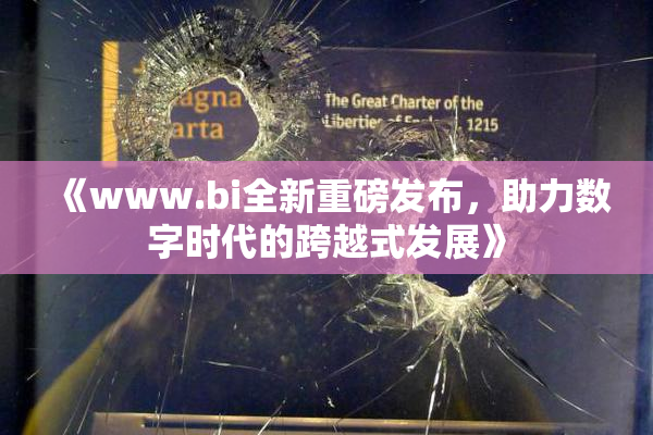 《www.bi全新重磅发布，助力数字时代的跨越式发展》
