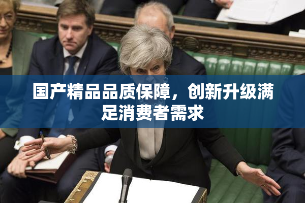 国产精品品质保障，创新升级满足消费者需求