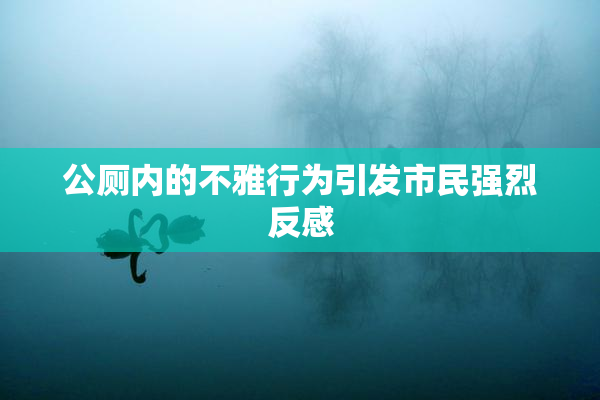 公厕内的不雅行为引发市民强烈反感