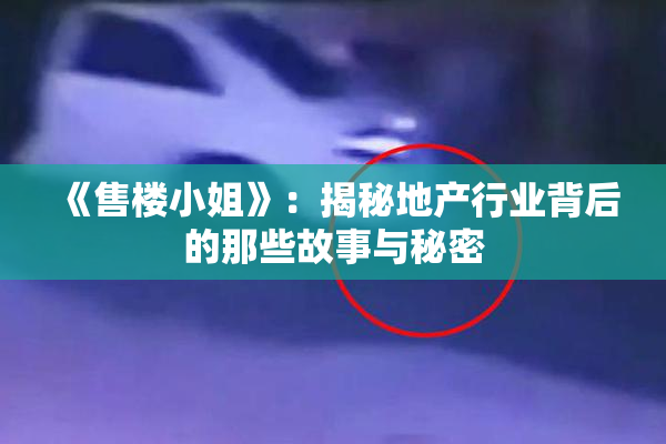 《售楼小姐》：揭秘地产行业背后的那些故事与秘密