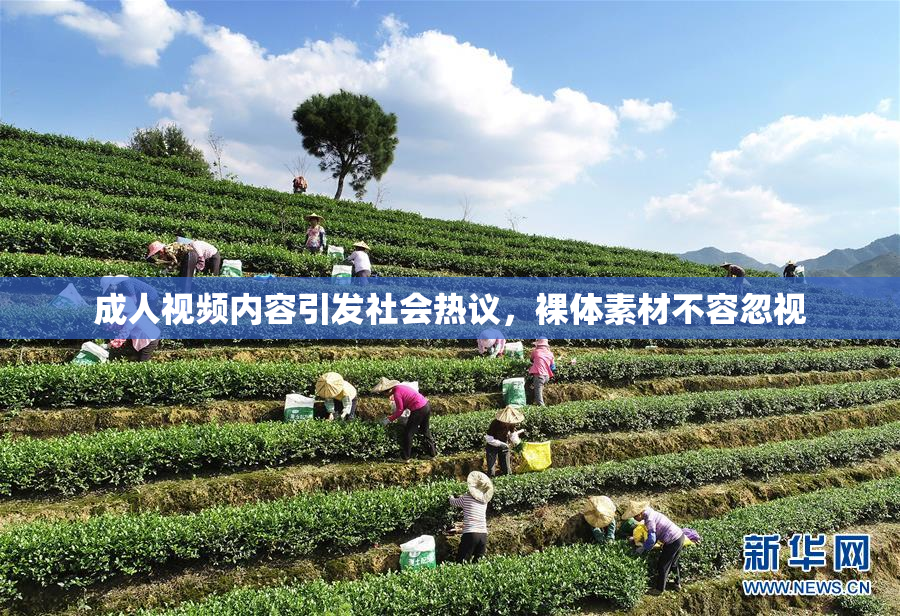 成人视频内容引发社会热议，裸体素材不容忽视