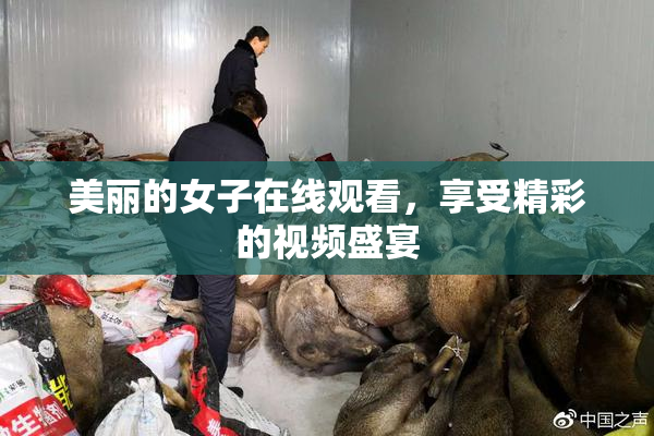 美丽的女子在线观看，享受精彩的视频盛宴