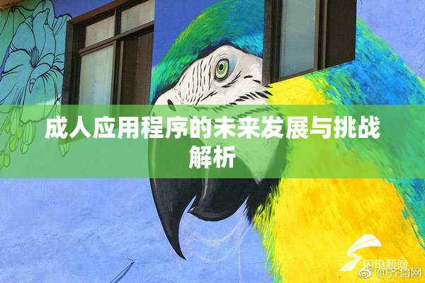 成人应用程序的未来发展与挑战解析
