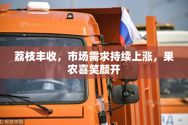 荔枝丰收，市场需求持续上涨，果农喜笑颜开