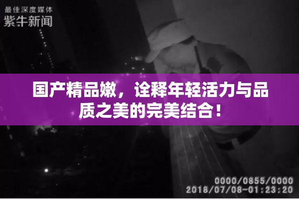 国产精品嫩，诠释年轻活力与品质之美的完美结合！