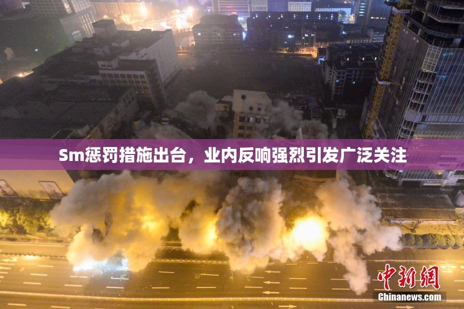 Sm惩罚措施出台，业内反响强烈引发广泛关注