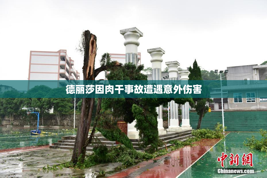 德丽莎因肉干事故遭遇意外伤害