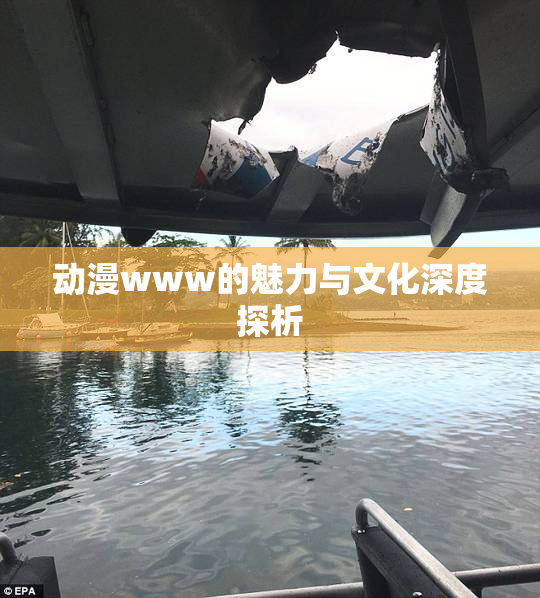 动漫www的魅力与文化深度探析