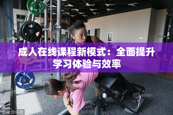 成人在线课程新模式：全面提升学习体验与效率