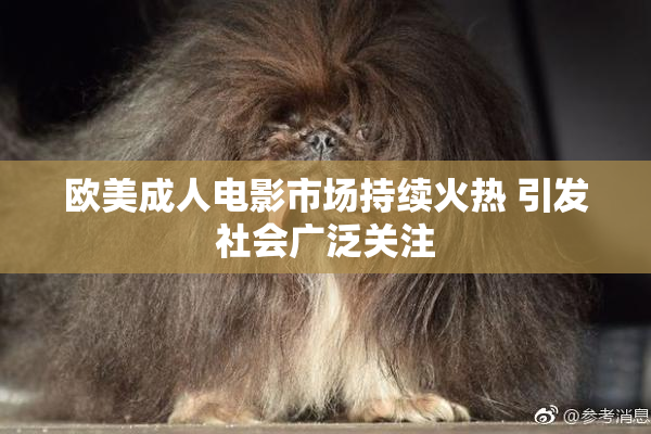 欧美成人电影市场持续火热 引发社会广泛关注