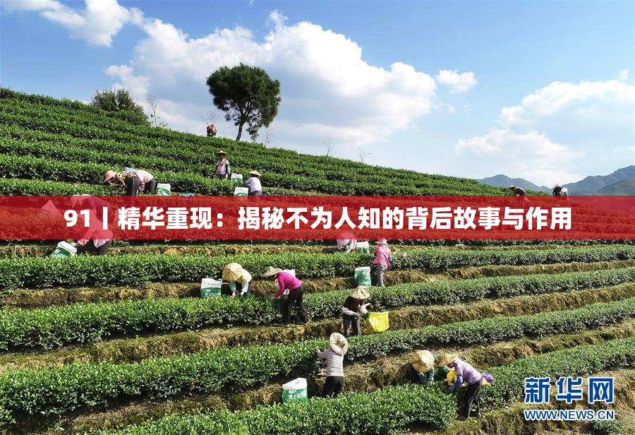 91丨精华重现：揭秘不为人知的背后故事与作用