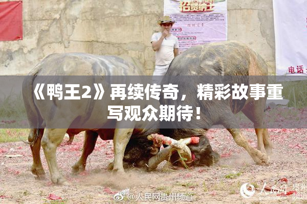 《鸭王2》再续传奇，精彩故事重写观众期待！