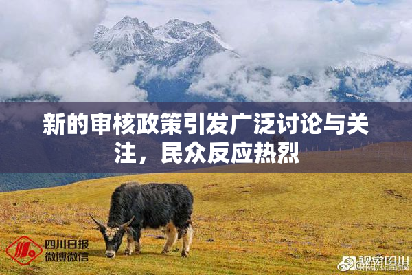 新的审核政策引发广泛讨论与关注，民众反应热烈