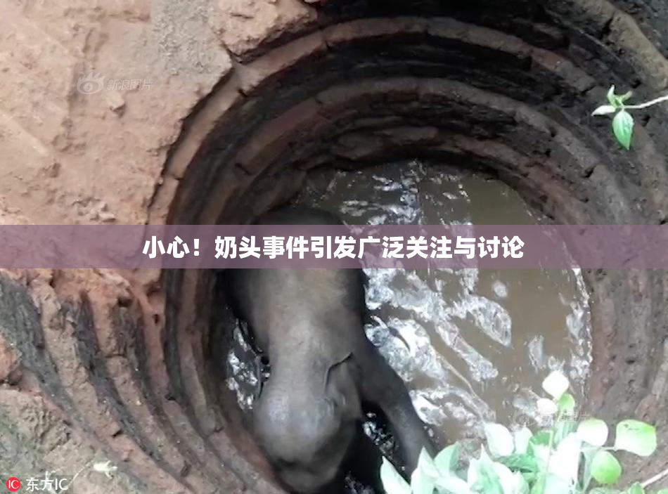 小心！奶头事件引发广泛关注与讨论