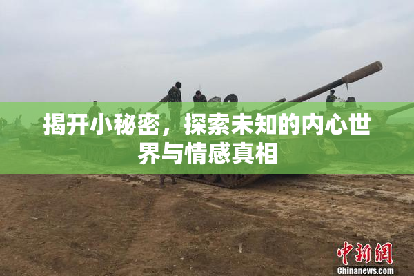 揭开小秘密，探索未知的内心世界与情感真相