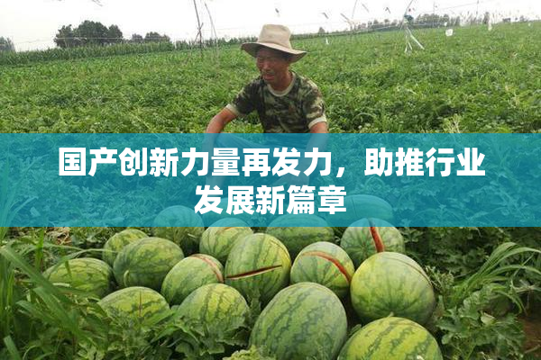 国产创新力量再发力，助推行业发展新篇章
