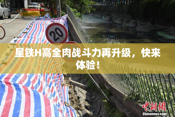 星铁H高全肉战斗力再升级，快来体验！