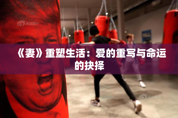 《妻》重塑生活：爱的重写与命运的抉择