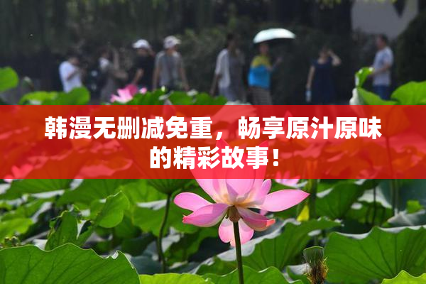 韩漫无删减免重，畅享原汁原味的精彩故事！