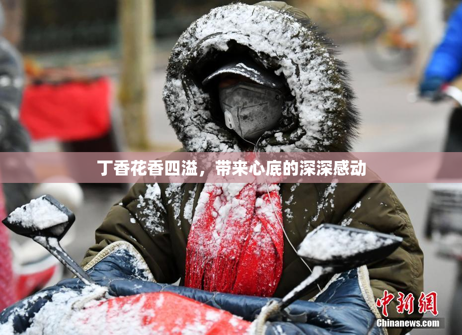 丁香花香四溢，带来心底的深深感动