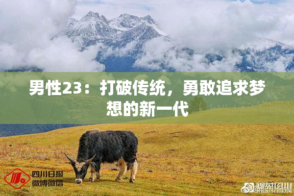 男性23：打破传统，勇敢追求梦想的新一代