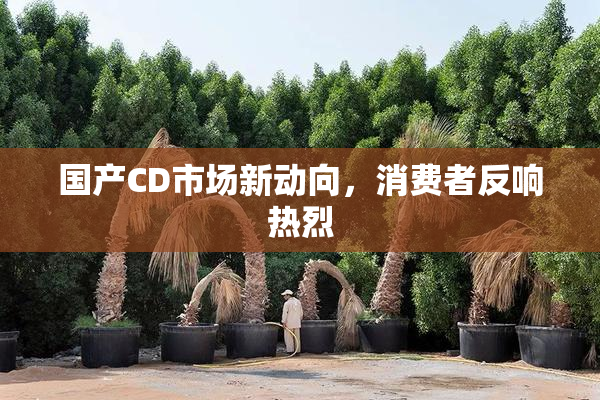 国产CD市场新动向，消费者反响热烈