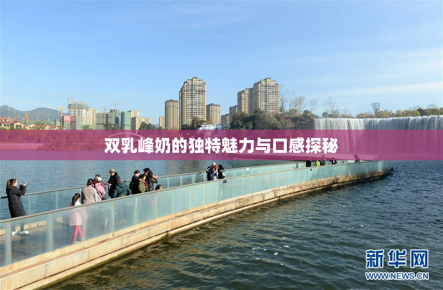 双乳峰奶的独特魅力与口感探秘