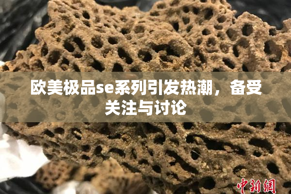 欧美极品se系列引发热潮，备受关注与讨论