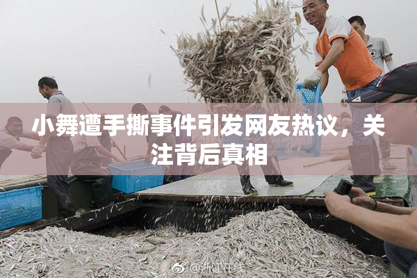 小舞遭手撕事件引发网友热议，关注背后真相