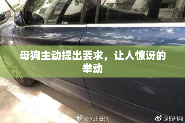 母狗主动提出要求，让人惊讶的举动