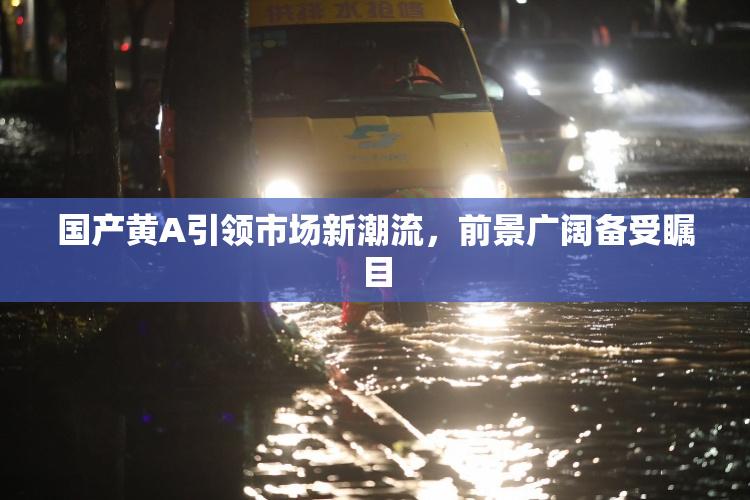 国产黄A引领市场新潮流，前景广阔备受瞩目