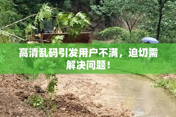 高清乱码引发用户不满，迫切需解决问题！