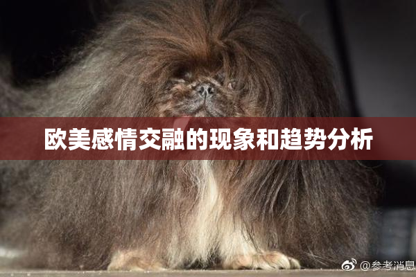 欧美感情交融的现象和趋势分析