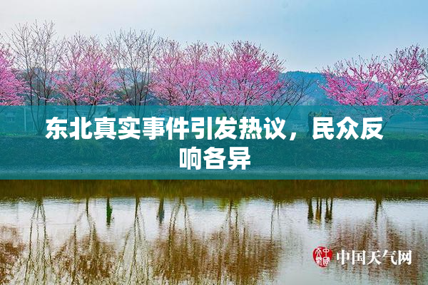 东北真实事件引发热议，民众反响各异