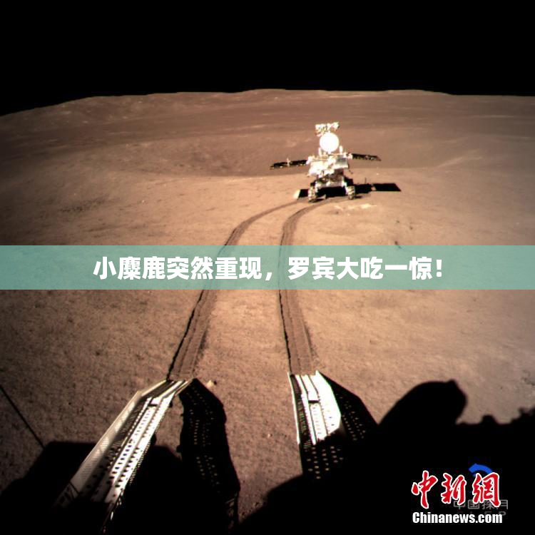 小麋鹿突然重现，罗宾大吃一惊！