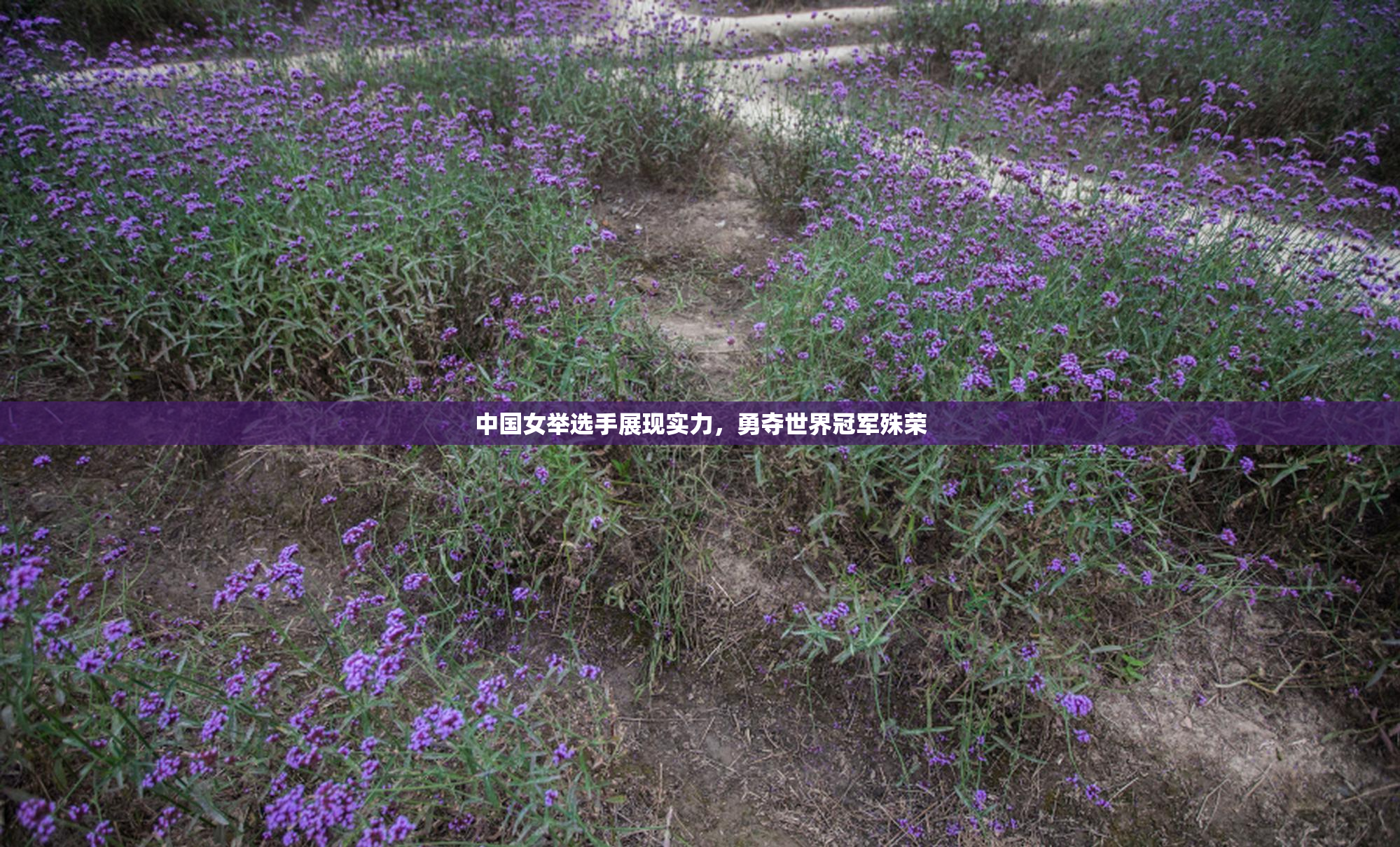 中国女举选手展现实力，勇夺世界冠军殊荣